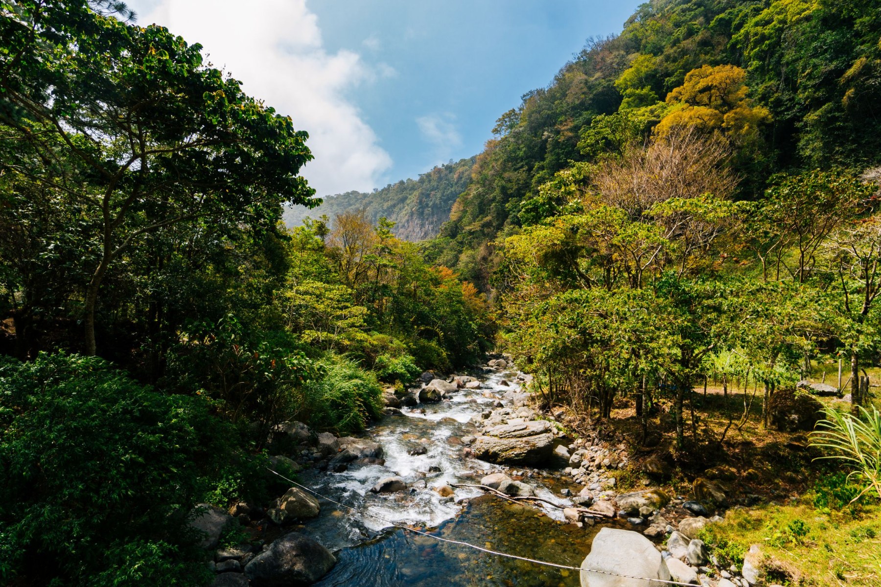 Río entre árboles en el entorno natural de Boquete, Chiriquí